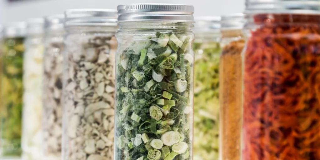 Freeze Dried vs Fresh Food Benefits: What No One Tells You